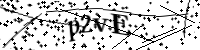 Por favor digite as letras e números abaixo