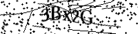 Por favor digite as letras e números abaixo