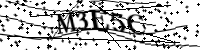 Por favor digite as letras e números abaixo