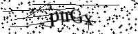 Por favor digite as letras e números abaixo