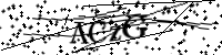 Por favor digite as letras e números abaixo