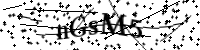 Por favor digite as letras e números abaixo