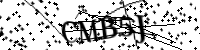 Por favor digite as letras e números abaixo