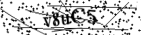 Por favor digite as letras e números abaixo