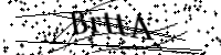 Por favor digite as letras e números abaixo