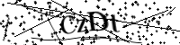 Por favor digite as letras e números abaixo