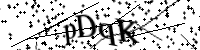 Por favor digite as letras e números abaixo