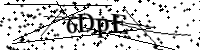 Por favor digite as letras e números abaixo