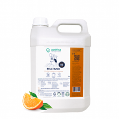 Multiuso concentrado 5l
