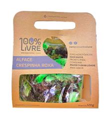 Alface Crespinha Roxa